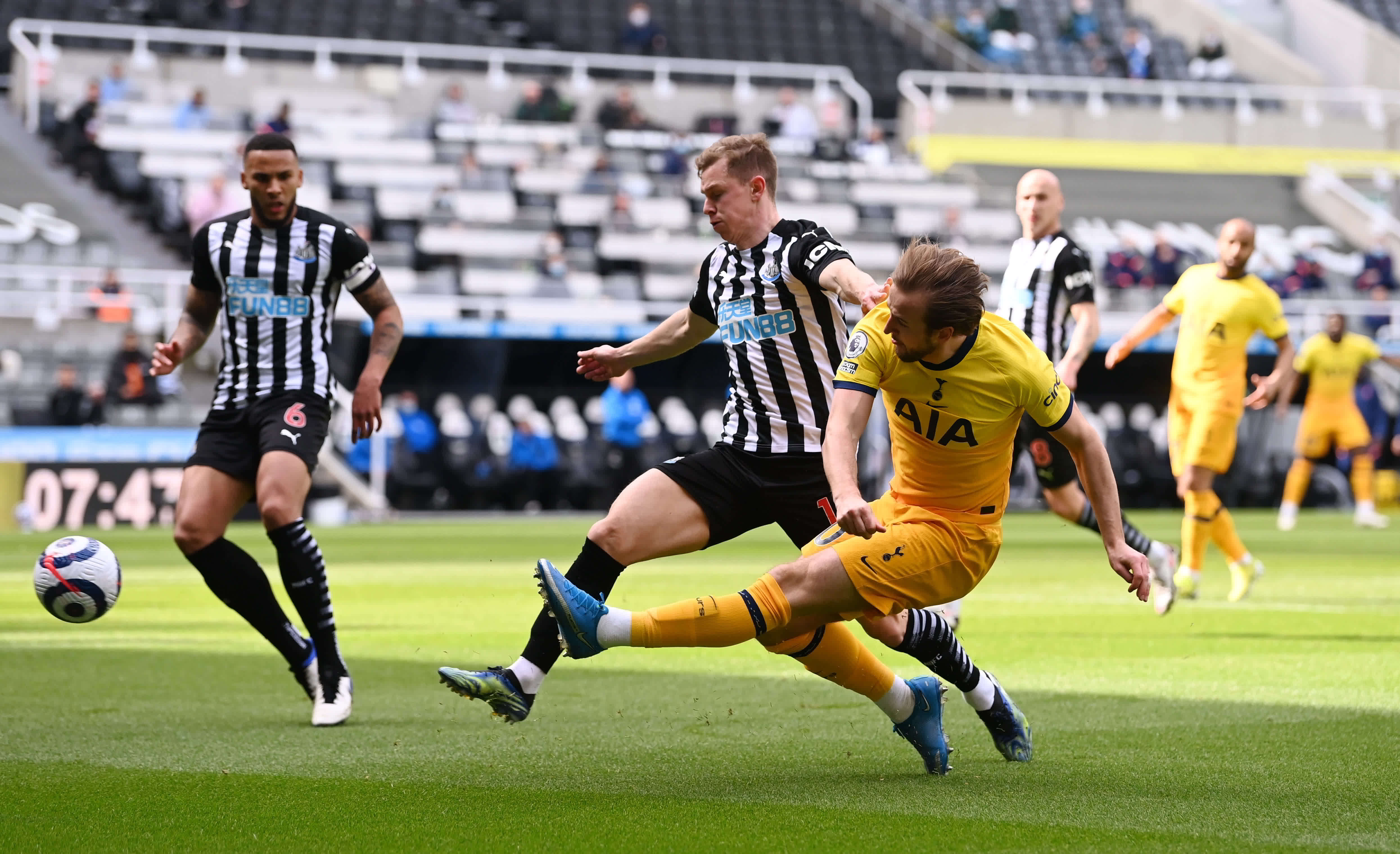 了多种虎尾 了多种虎尾