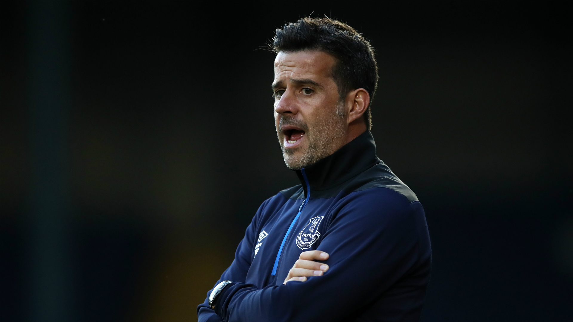 几乎是毋庸 几乎是毋庸